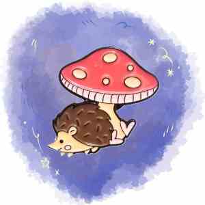 Hedgehog and The Mushroom Enamel Pin (3)_result